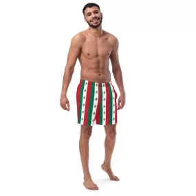 Mexican Flag Swim Trunks / Men's Swim Trunks / Colors of the Mexican flag / Recycled polyester